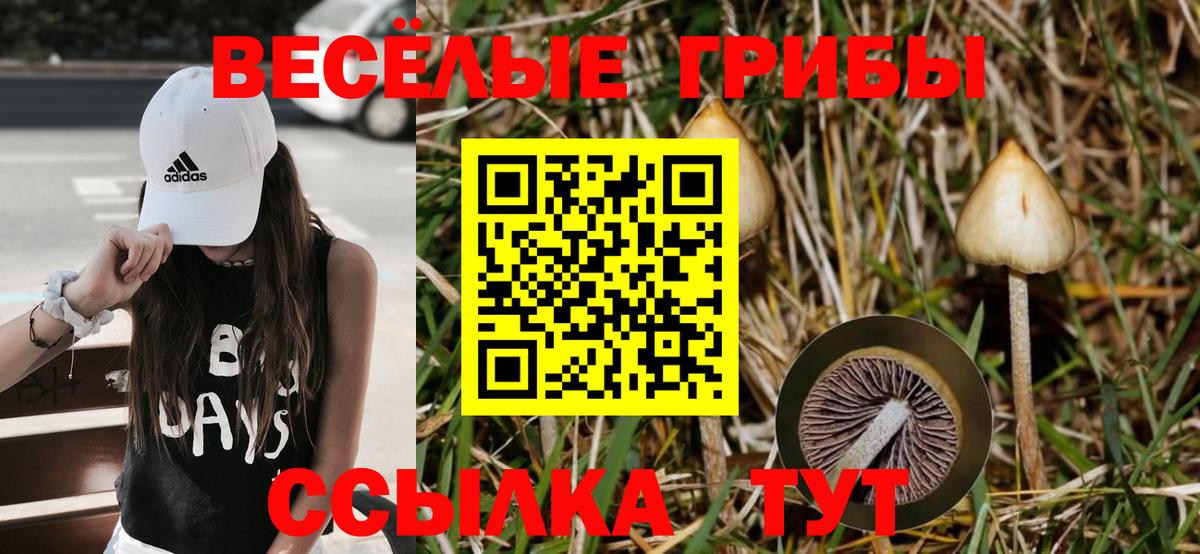 МЕФ кристаллы  ГАШИШ  ЭКСТАЗИ  Бошки Шишки  Черногорск  Купить наркоту  Вход с VPN 