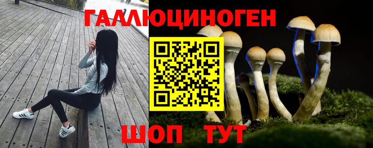 Черногорск  Галлюциногенные грибы Magic Shrooms  Вход с VPN 