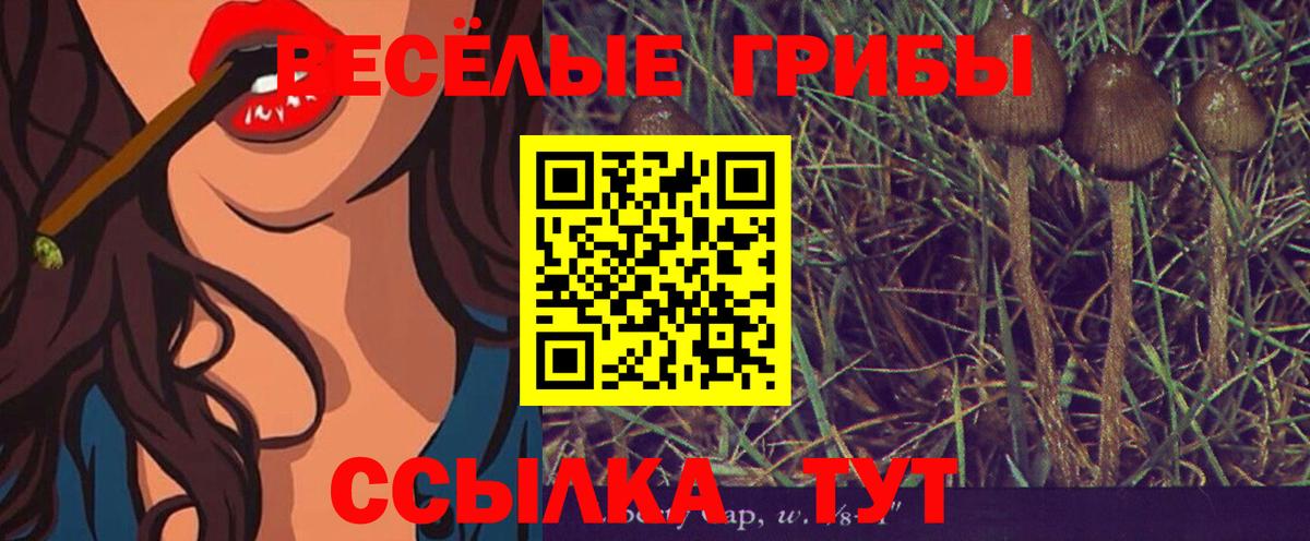Псилоцибиновые грибы ЛСД Черногорск
