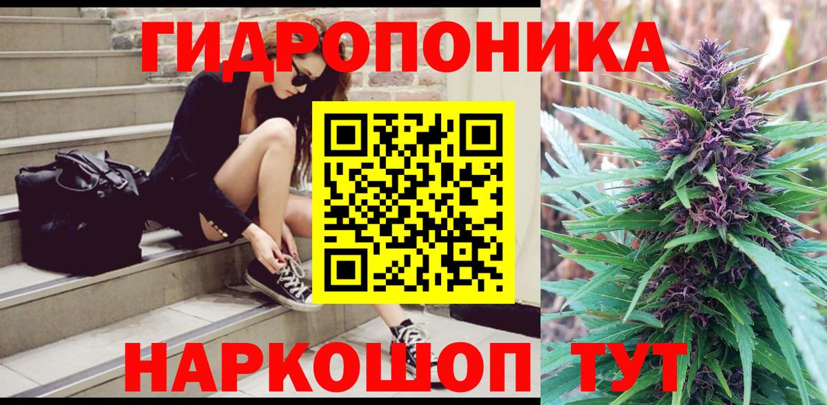 Бошки Шишки тримм  Конопля ГИДРОПОН  Конопля план  Черногорск  Вход с VPN 